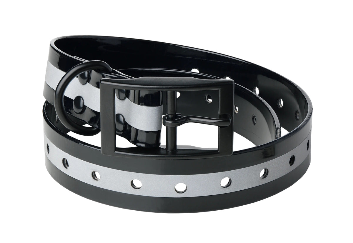 Lafayette hundhalsband – reflex för ökad synlighet
