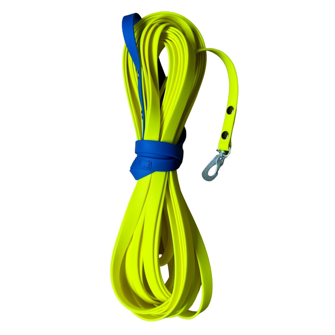 Spårlina - Orsalinan