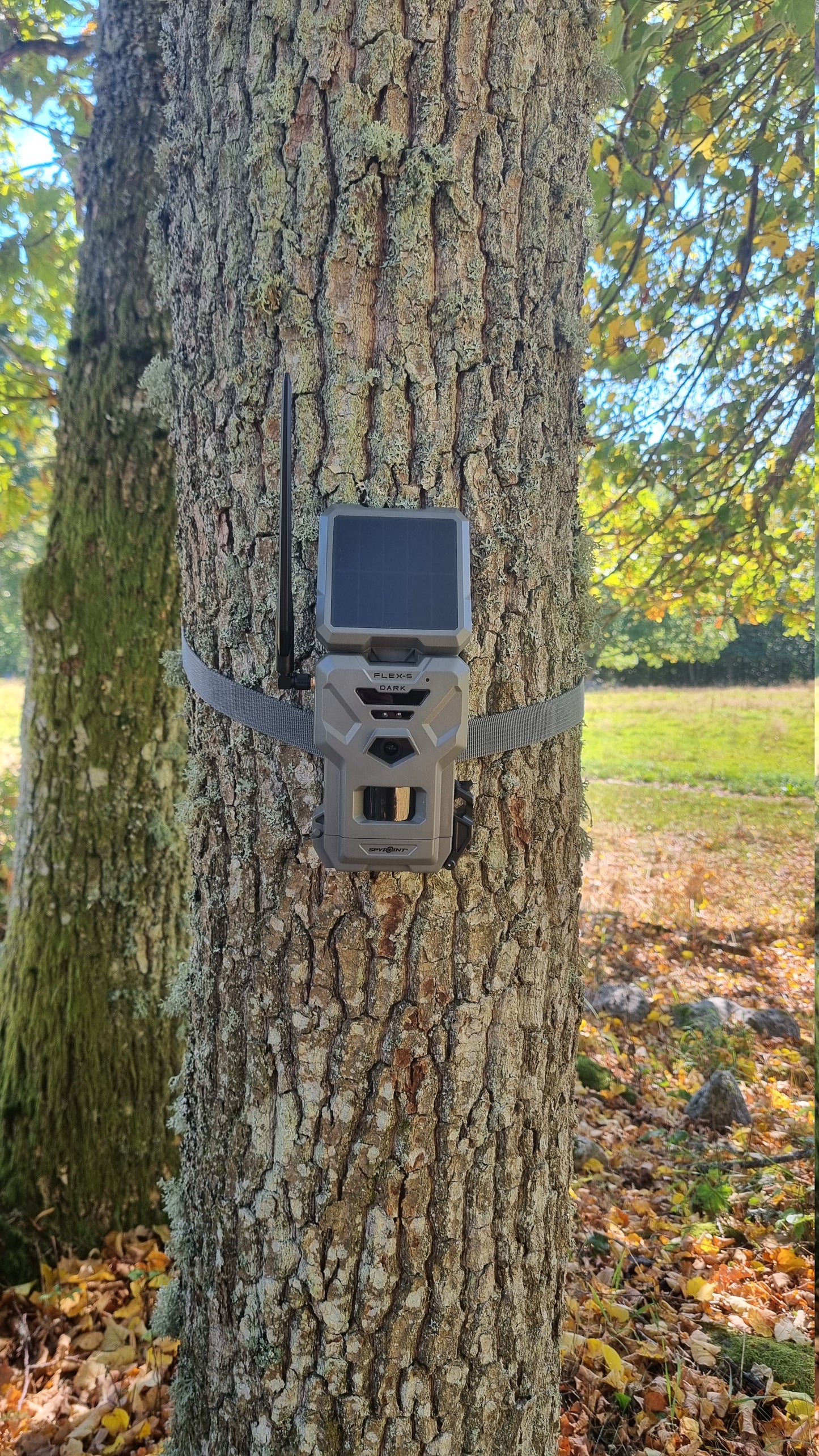 Spypoint FLEX-S-DARK Åtelkamera