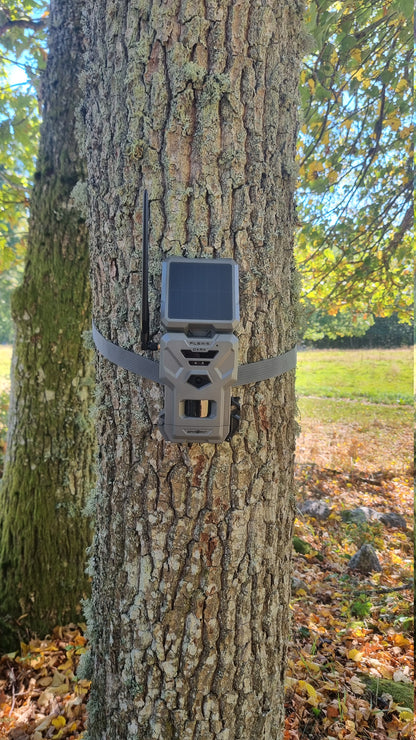 Spypoint FLEX-S-DARK Åtelkamera