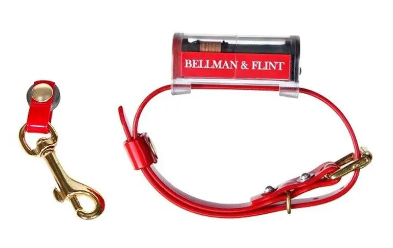 Bellman & Flint - Halsband & Startmagnet