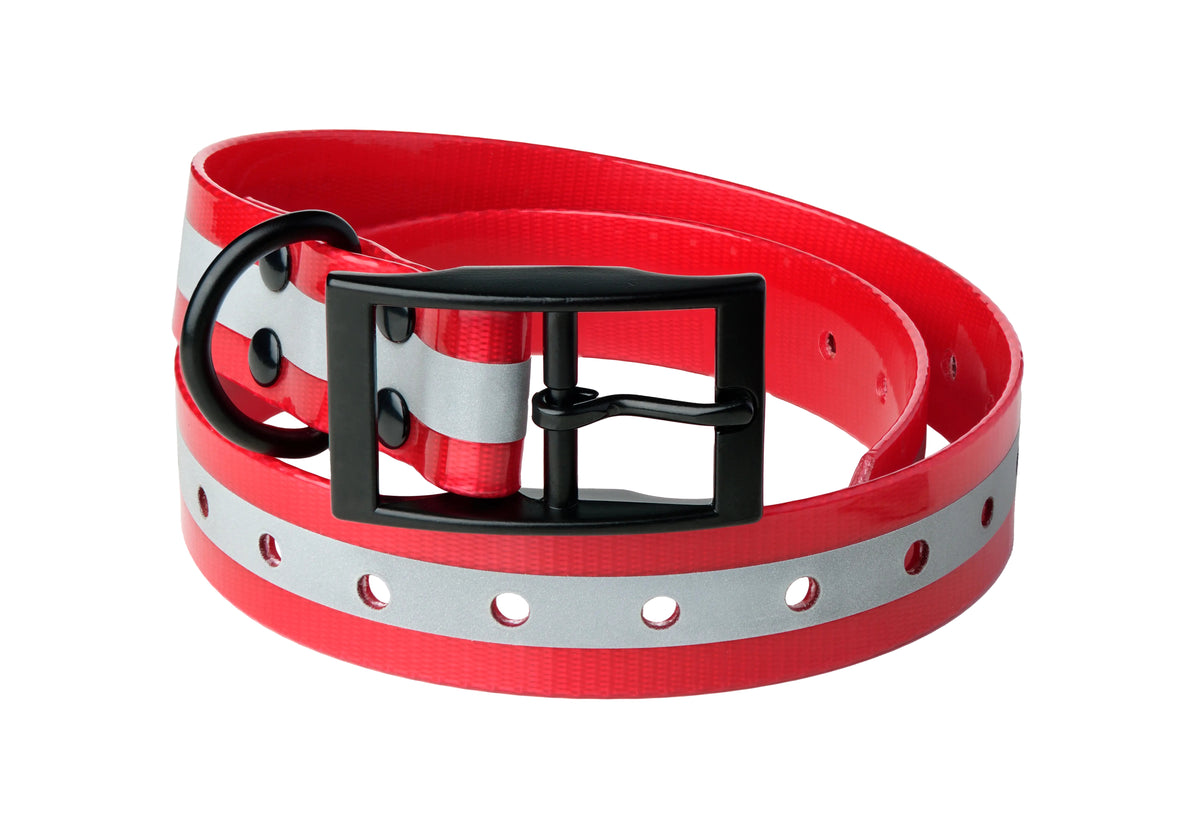 Lafayette hundhalsband – reflex för ökad synlighet