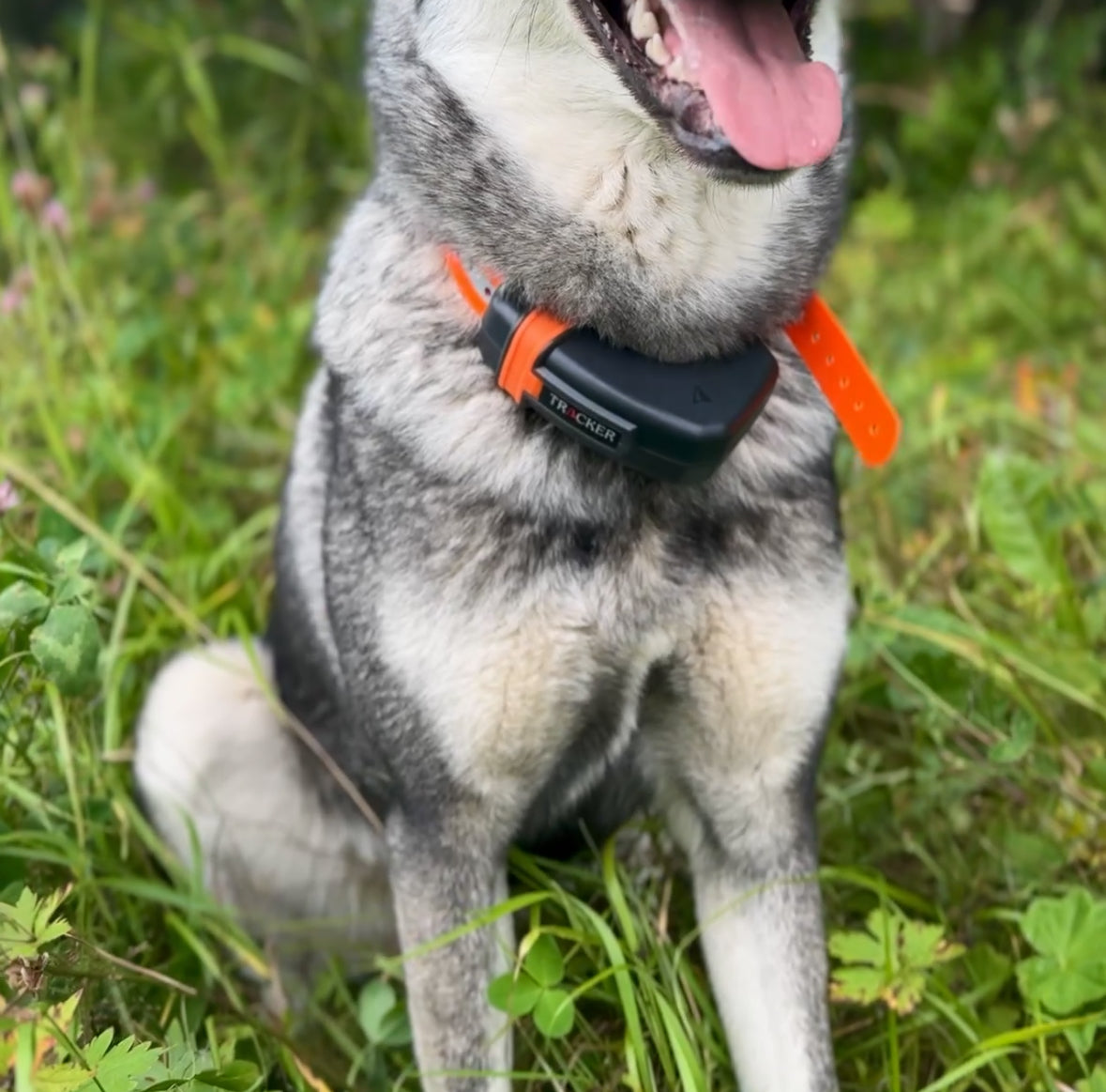 Tracker Luna - Inbyteskampanj