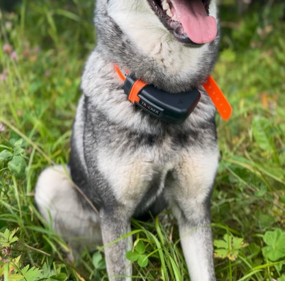 Tracker Luna - Inbyteskampanj