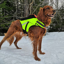 Kardog Jehu – Flytväst för hund med GPS-ficka
