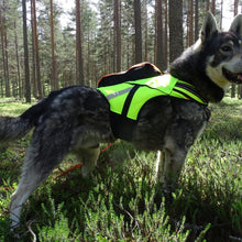 Kardog Raipe (utan flytelement)